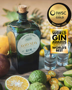 Gin MAWSIM Tropical Citrus